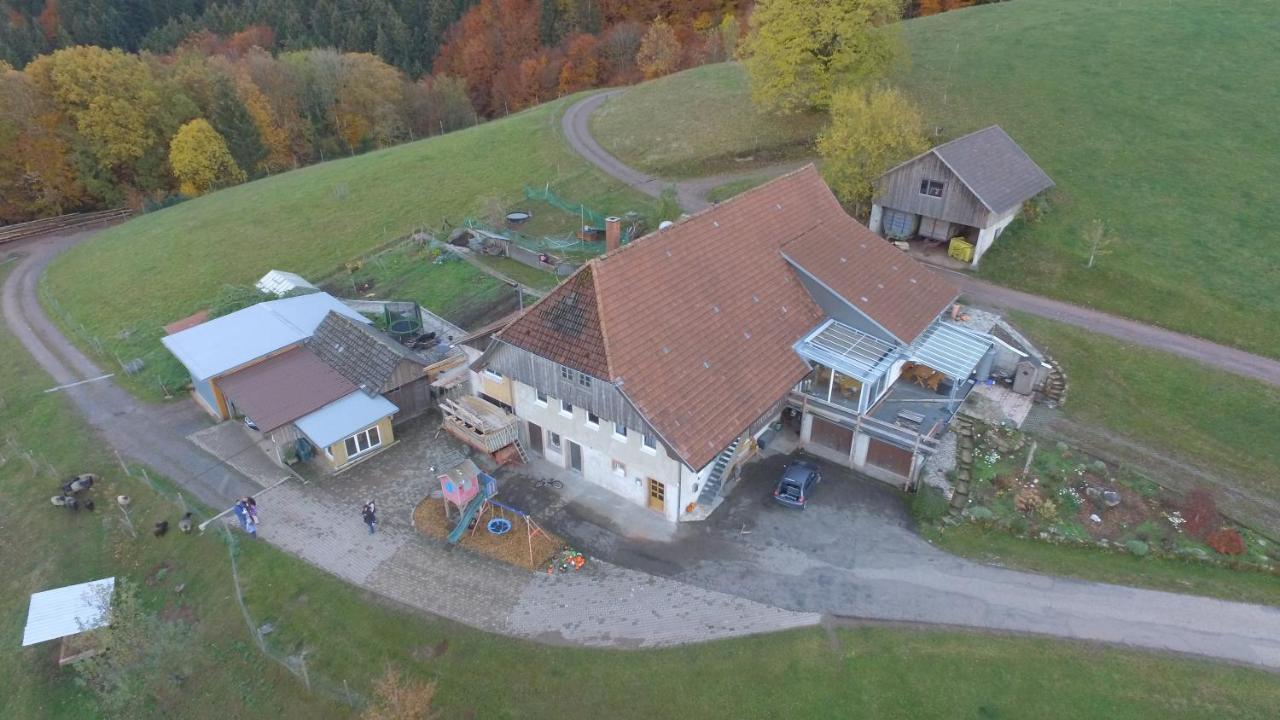 Ferienwohnung Brandenkopf Oberharmersbach Dış mekan fotoğraf